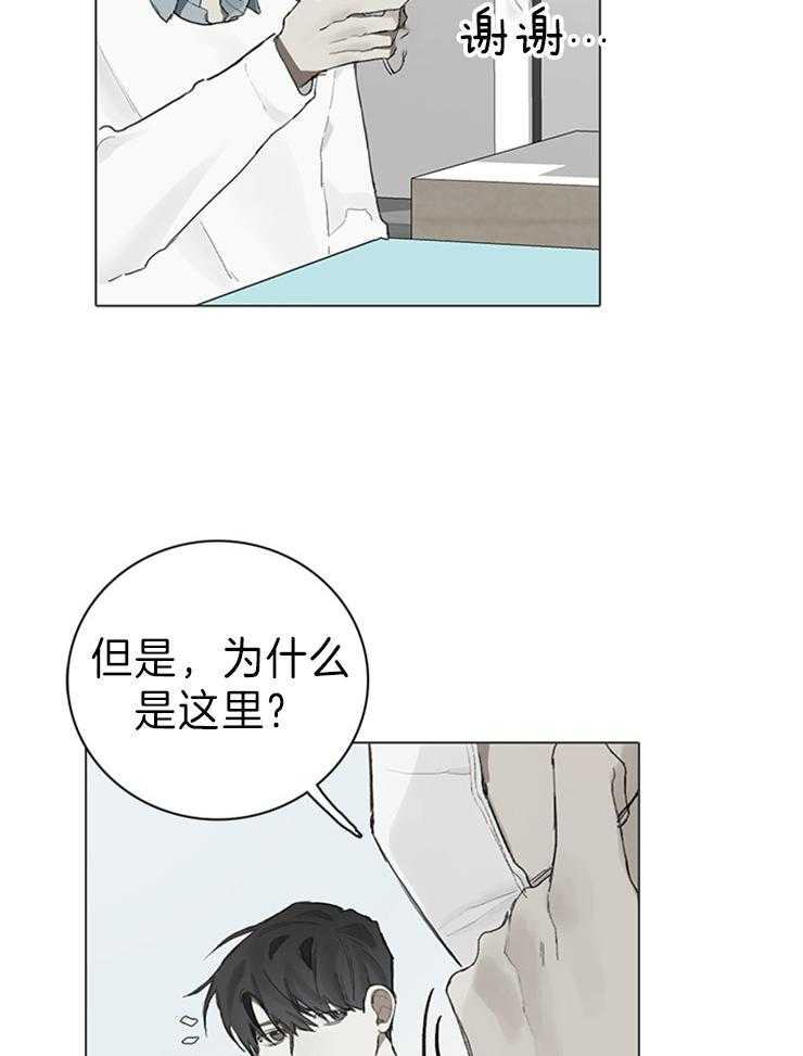 《达成协议》漫画最新章节第63话 猫毛过敏免费下拉式在线观看章节第【17】张图片