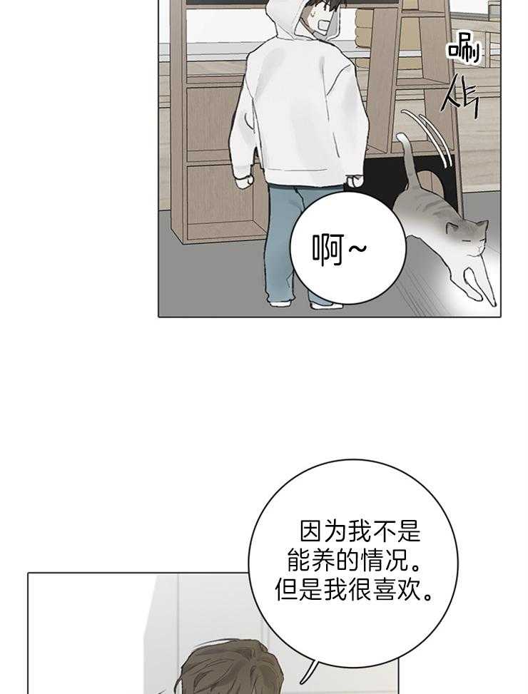 《达成协议》漫画最新章节第63话 猫毛过敏免费下拉式在线观看章节第【15】张图片