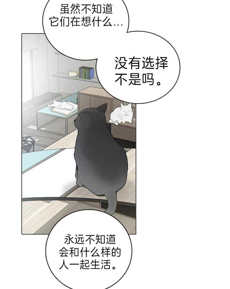 《达成协议》漫画最新章节第63话 猫毛过敏免费下拉式在线观看章节第【10】张图片