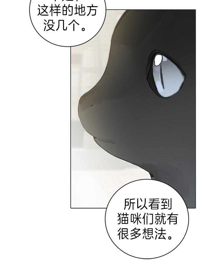 《达成协议》漫画最新章节第63话 猫毛过敏免费下拉式在线观看章节第【12】张图片