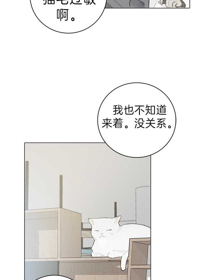 《达成协议》漫画最新章节第63话 猫毛过敏免费下拉式在线观看章节第【20】张图片