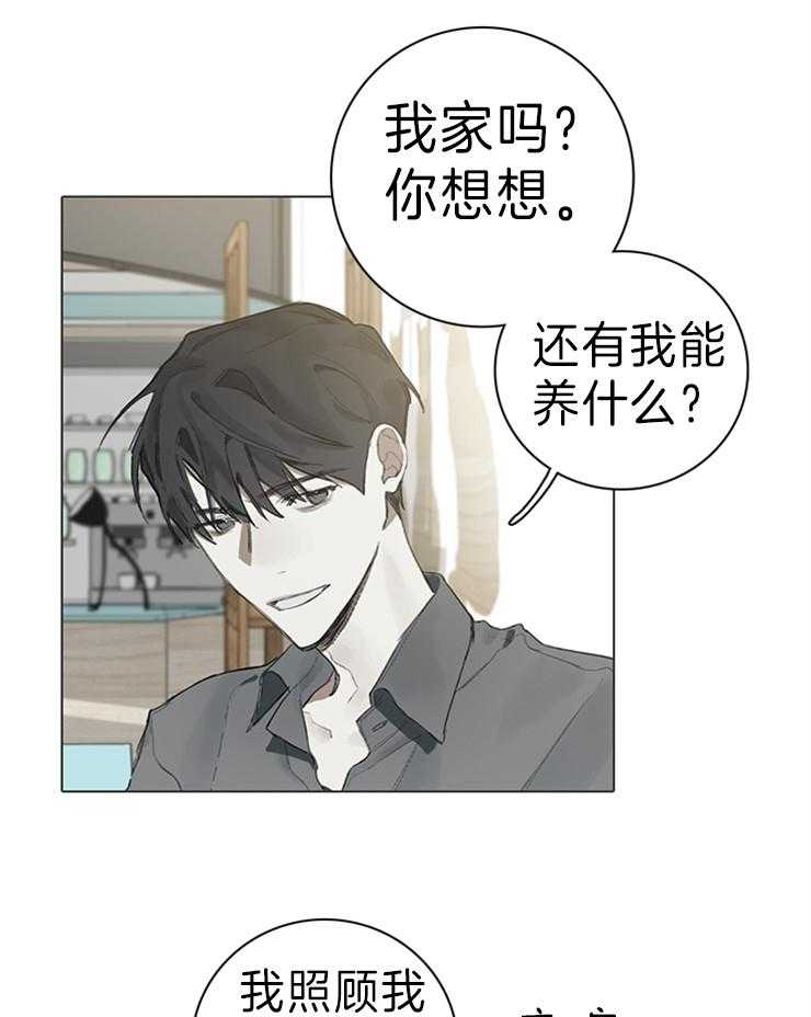 《达成协议》漫画最新章节第63话 猫毛过敏免费下拉式在线观看章节第【6】张图片