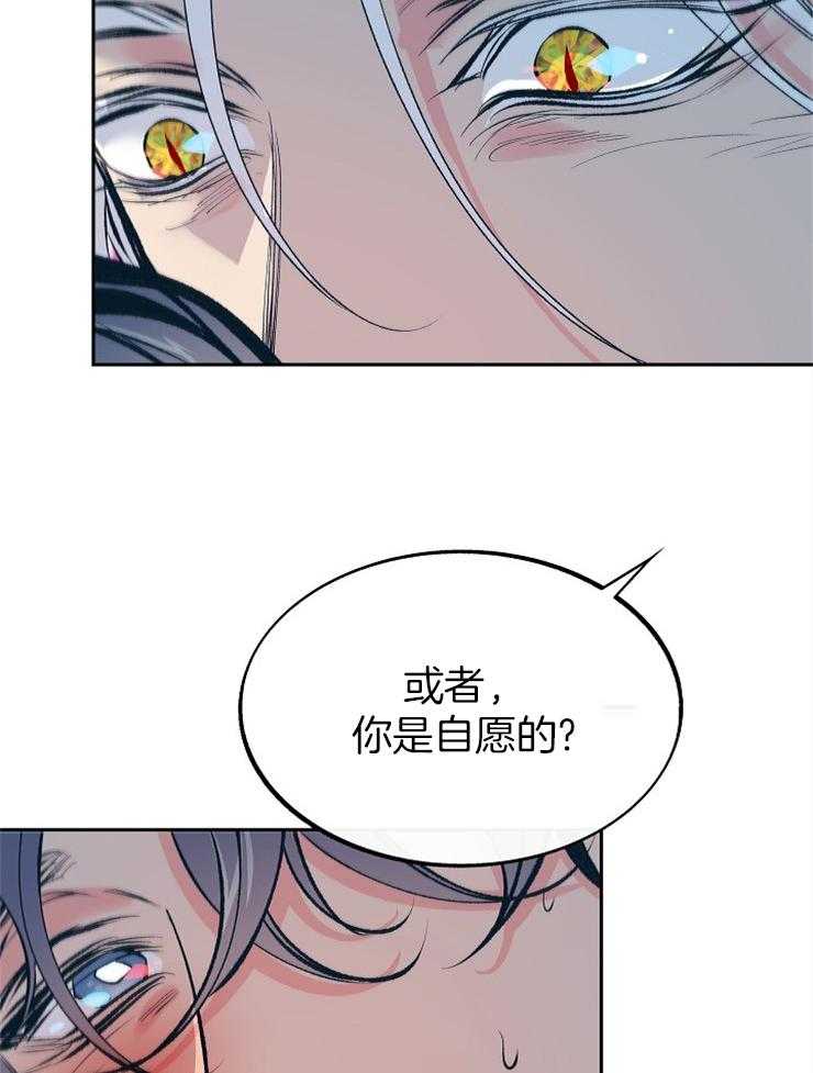 《修罗的恋人》漫画最新章节第131话 你喜欢吗免费下拉式在线观看章节第【42】张图片