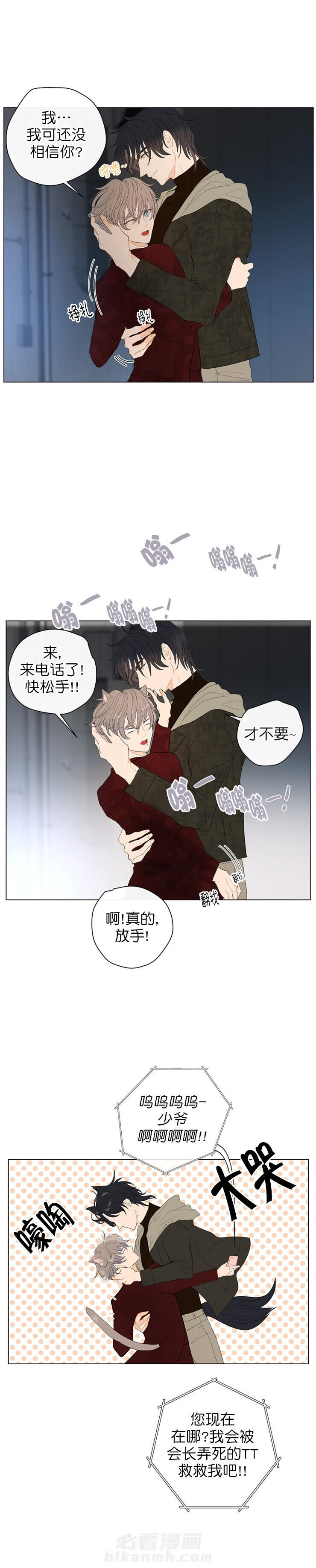 《少爷的忠犬》漫画最新章节第11话 挑衅免费下拉式在线观看章节第【11】张图片