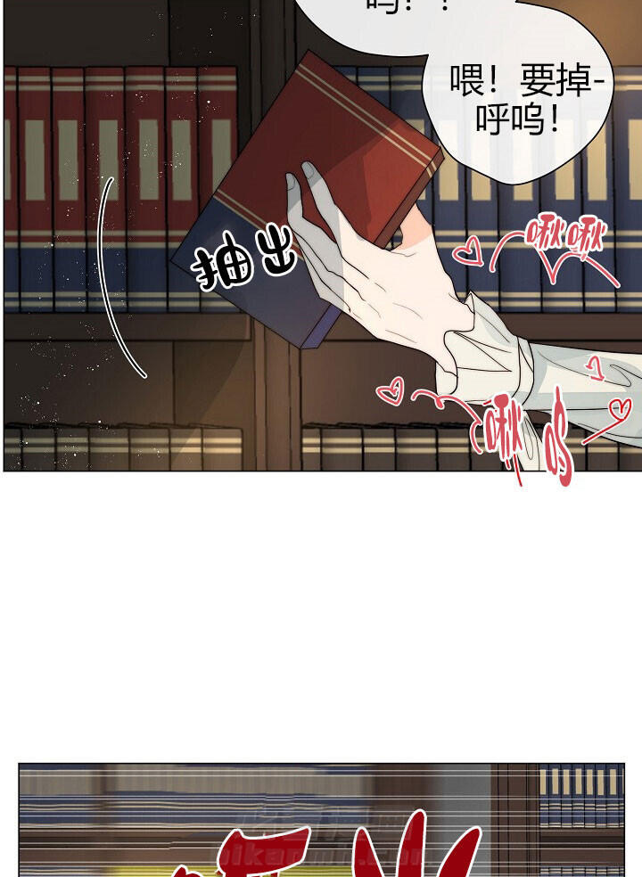 《少爷的忠犬》漫画最新章节第44话 秘密书房免费下拉式在线观看章节第【13】张图片