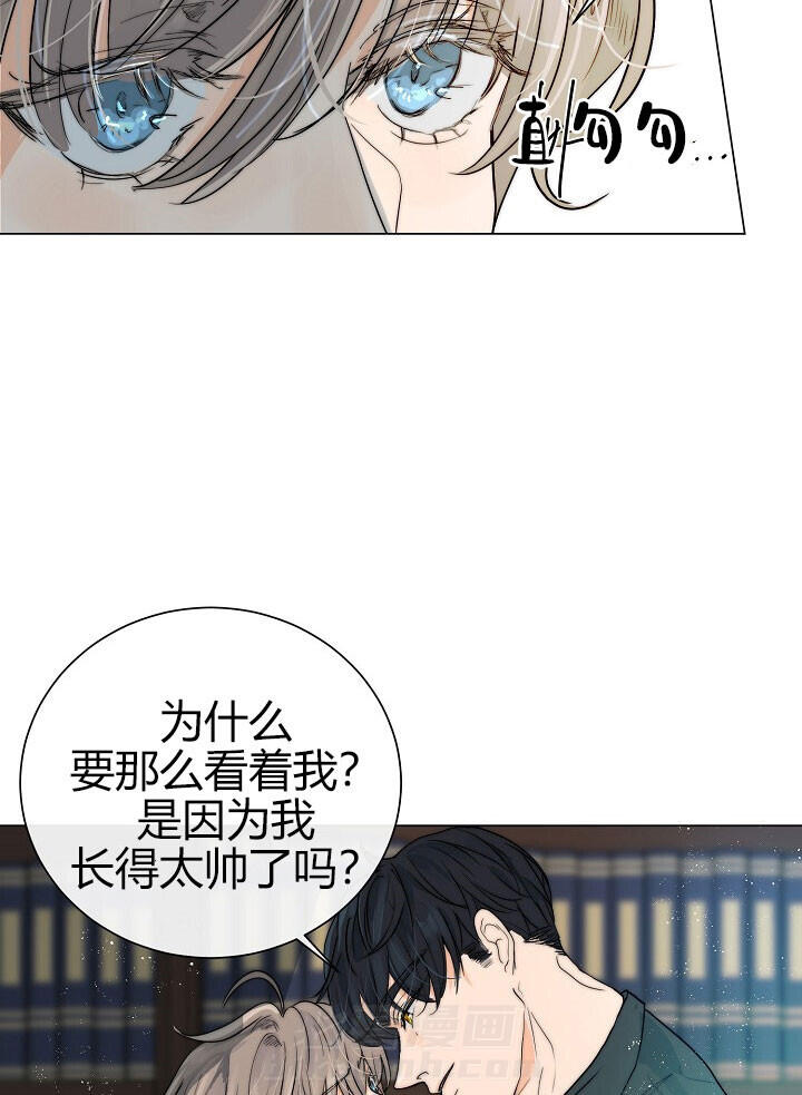 《少爷的忠犬》漫画最新章节第44话 秘密书房免费下拉式在线观看章节第【15】张图片