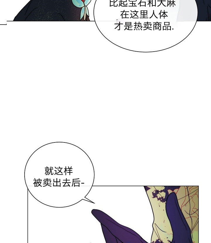 《少爷的忠犬》漫画最新章节第49话 商品免费下拉式在线观看章节第【9】张图片