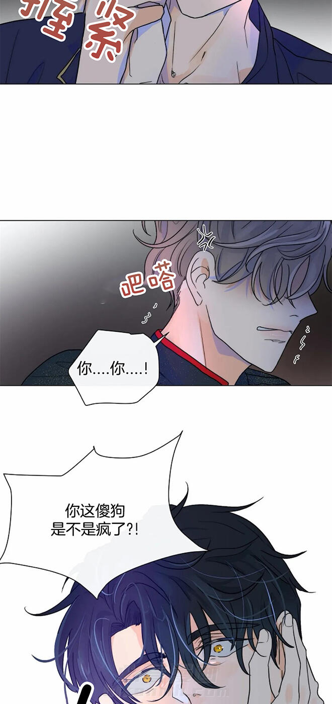 《少爷的忠犬》漫画最新章节第54话 在意免费下拉式在线观看章节第【19】张图片