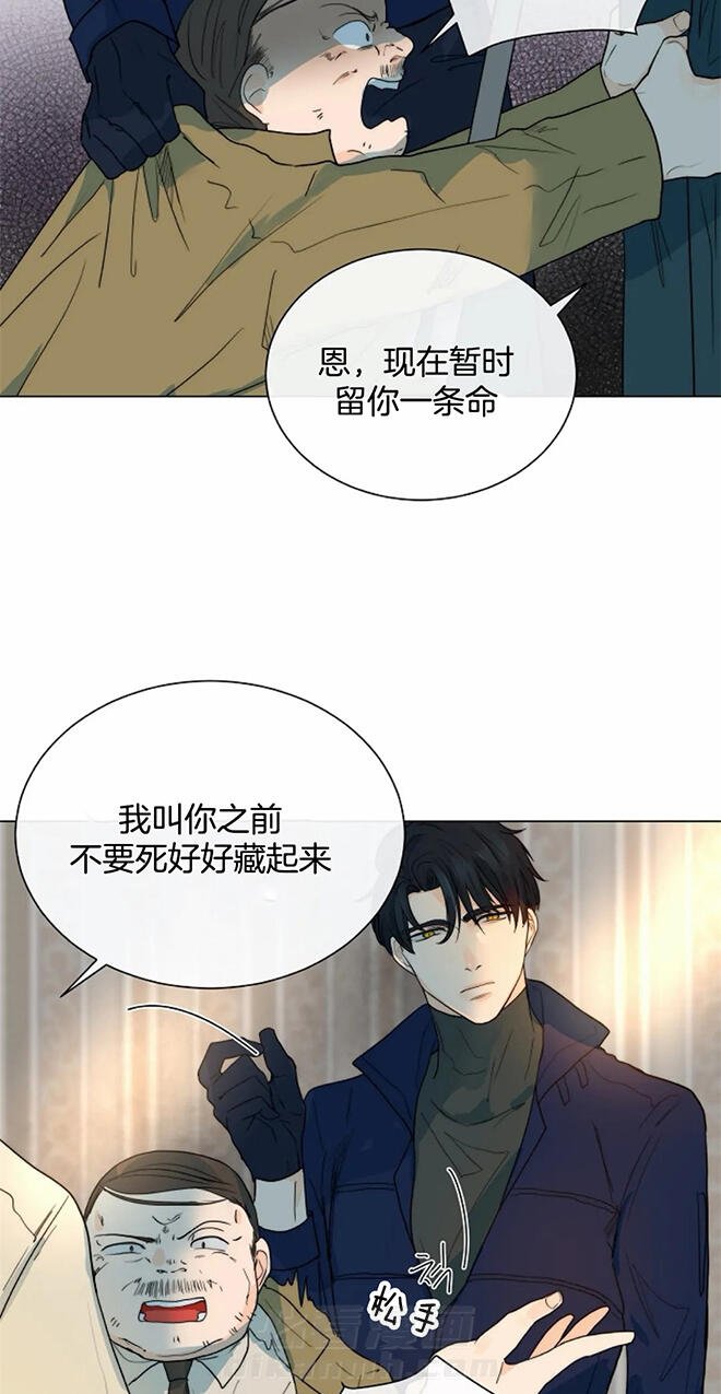 《少爷的忠犬》漫画最新章节第61话 我没事免费下拉式在线观看章节第【10】张图片