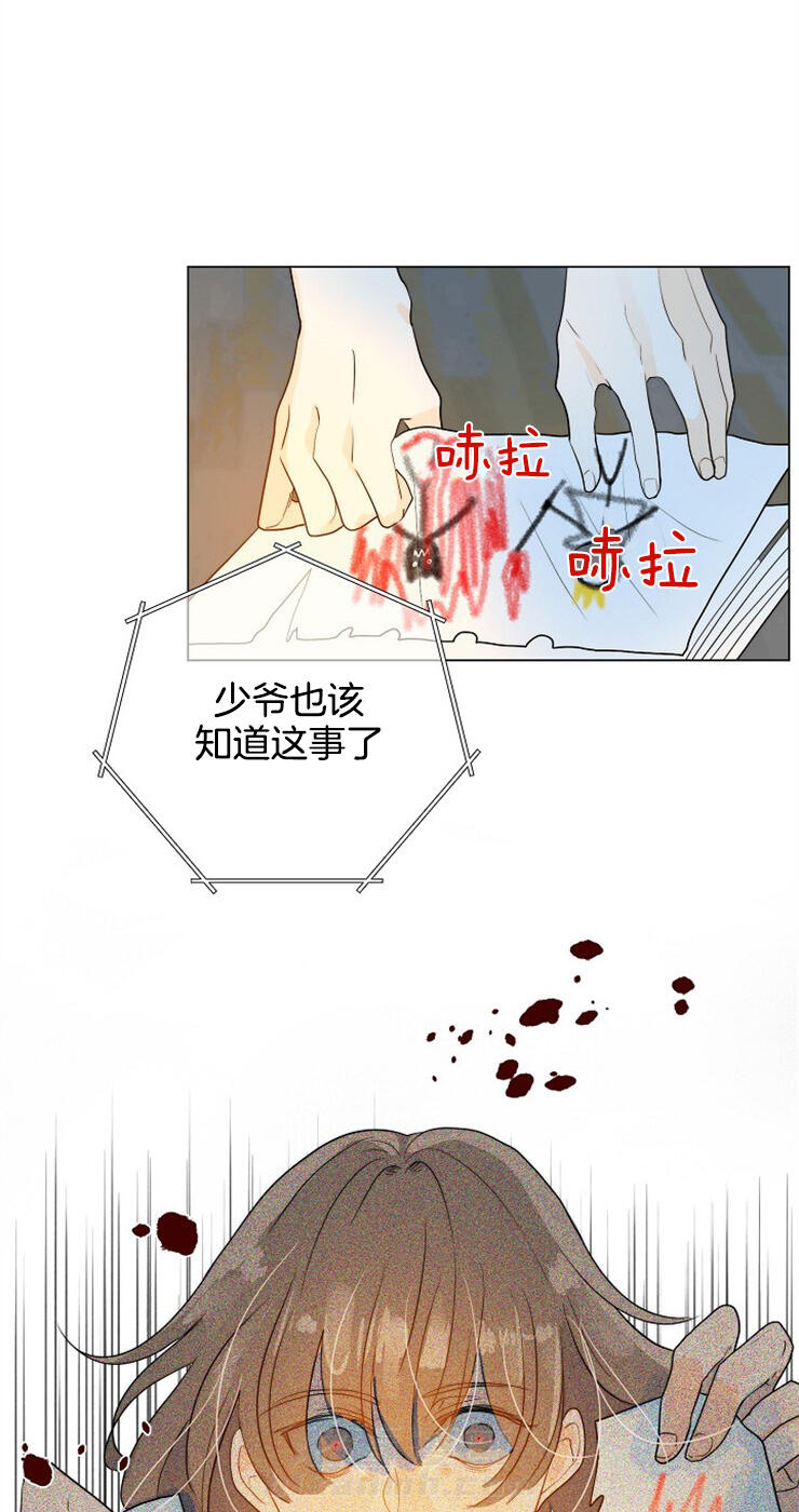 《少爷的忠犬》漫画最新章节第62话 该怎么办免费下拉式在线观看章节第【11】张图片