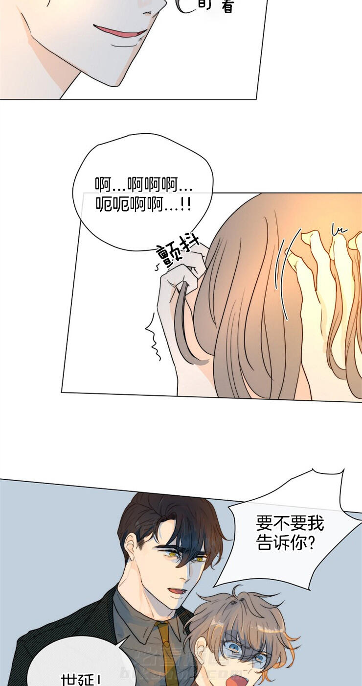 《少爷的忠犬》漫画最新章节第63话 真相免费下拉式在线观看章节第【22】张图片