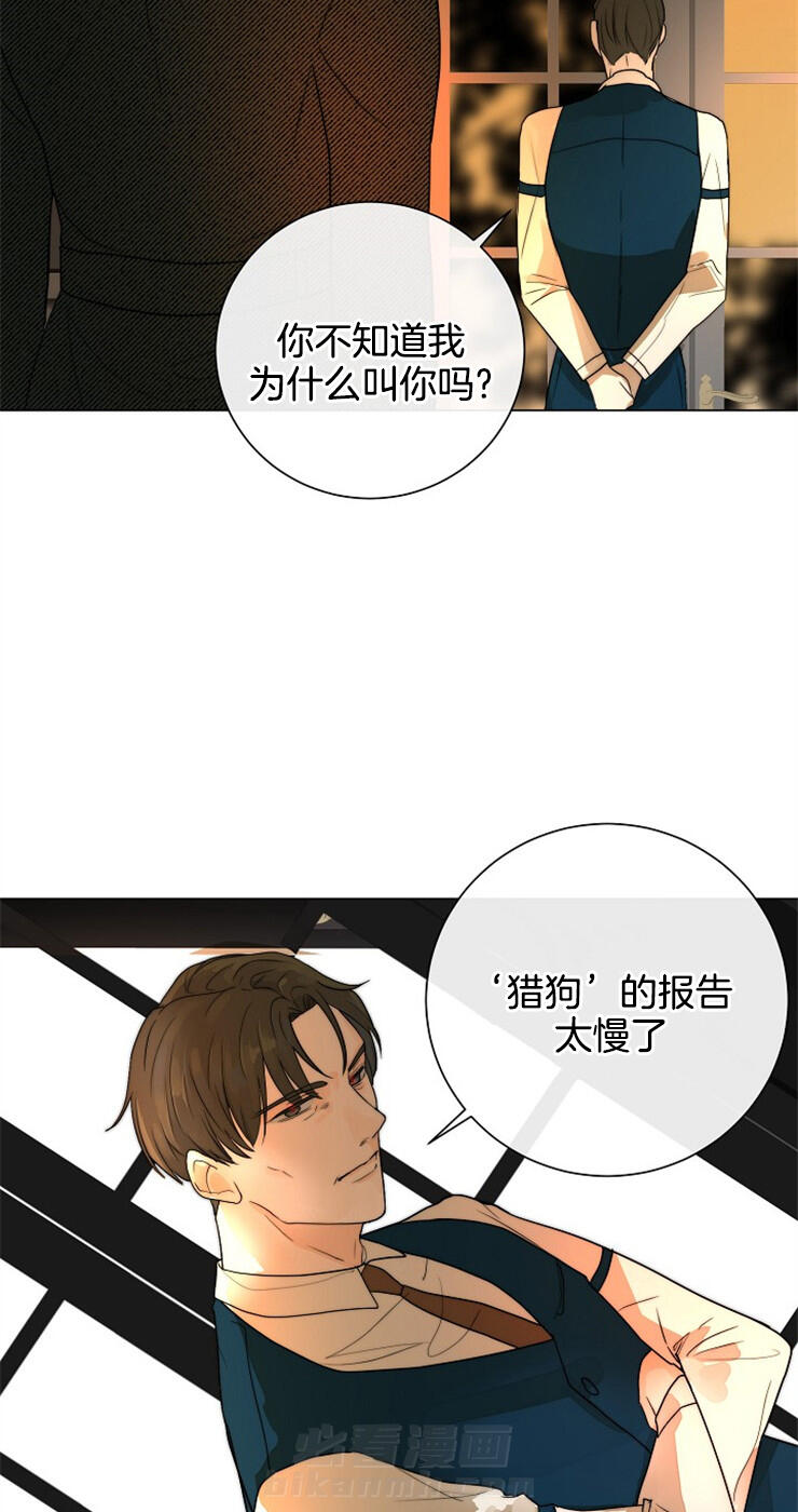 《少爷的忠犬》漫画最新章节第63话 真相免费下拉式在线观看章节第【2】张图片