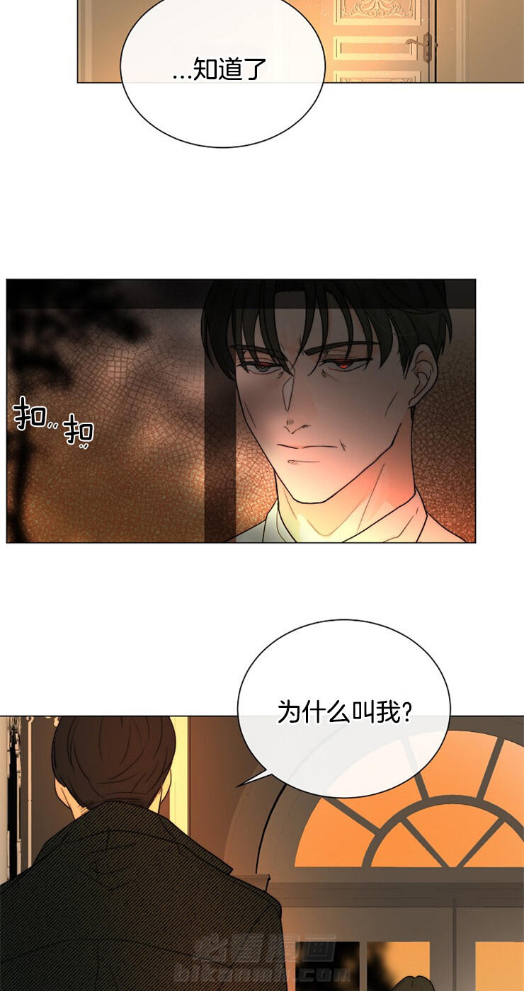 《少爷的忠犬》漫画最新章节第63话 真相免费下拉式在线观看章节第【3】张图片