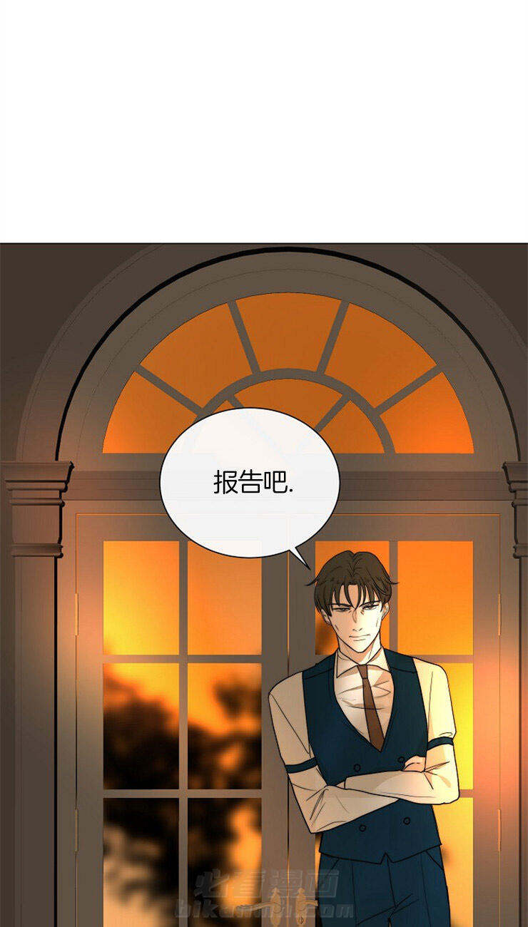 《少爷的忠犬》漫画最新章节第64话 报告免费下拉式在线观看章节第【25】张图片