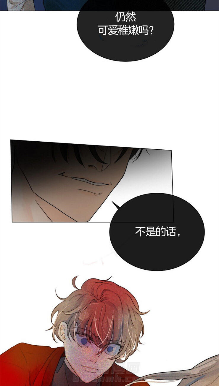 《少爷的忠犬》漫画最新章节第64话 报告免费下拉式在线观看章节第【3】张图片