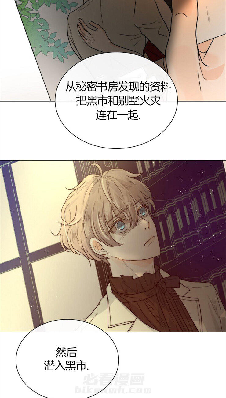 《少爷的忠犬》漫画最新章节第64话 报告免费下拉式在线观看章节第【21】张图片