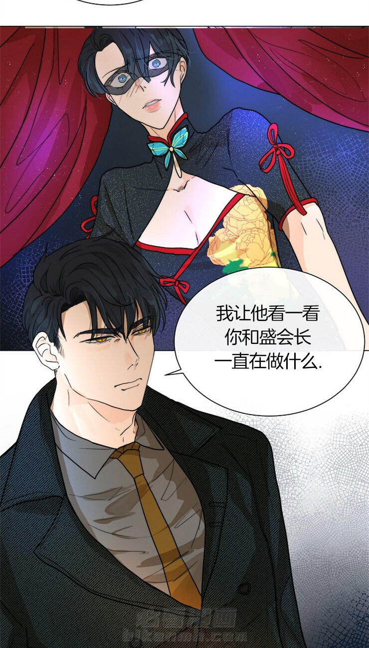 《少爷的忠犬》漫画最新章节第64话 报告免费下拉式在线观看章节第【20】张图片