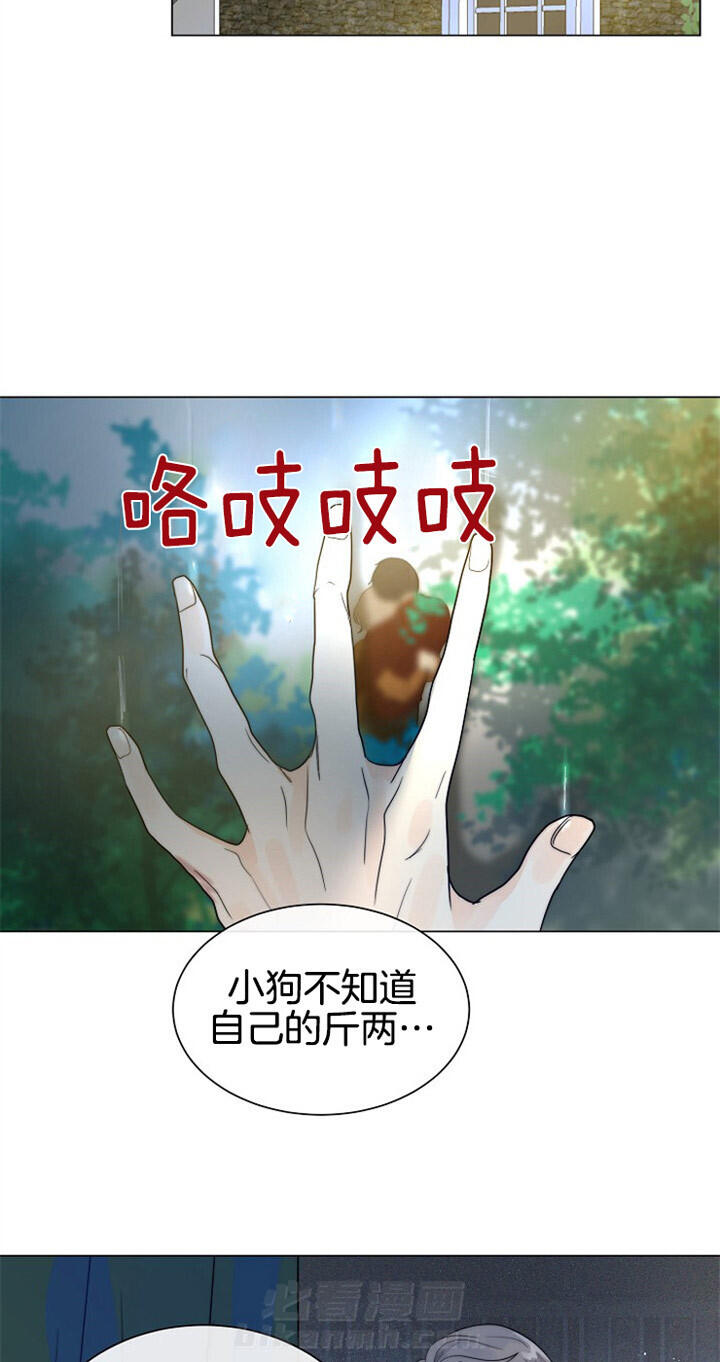 《少爷的忠犬》漫画最新章节第67话 一直在你身边免费下拉式在线观看章节第【3】张图片