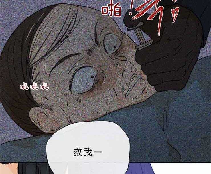 《少爷的忠犬》漫画最新章节第78话 她的感情免费下拉式在线观看章节第【33】张图片