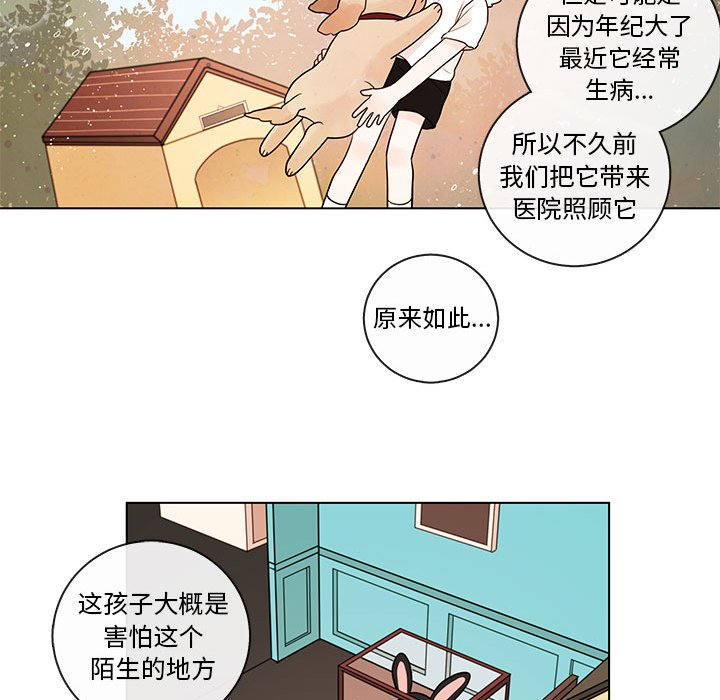 《努娜的魔法商店》漫画最新章节第42话 42免费下拉式在线观看章节第【36】张图片