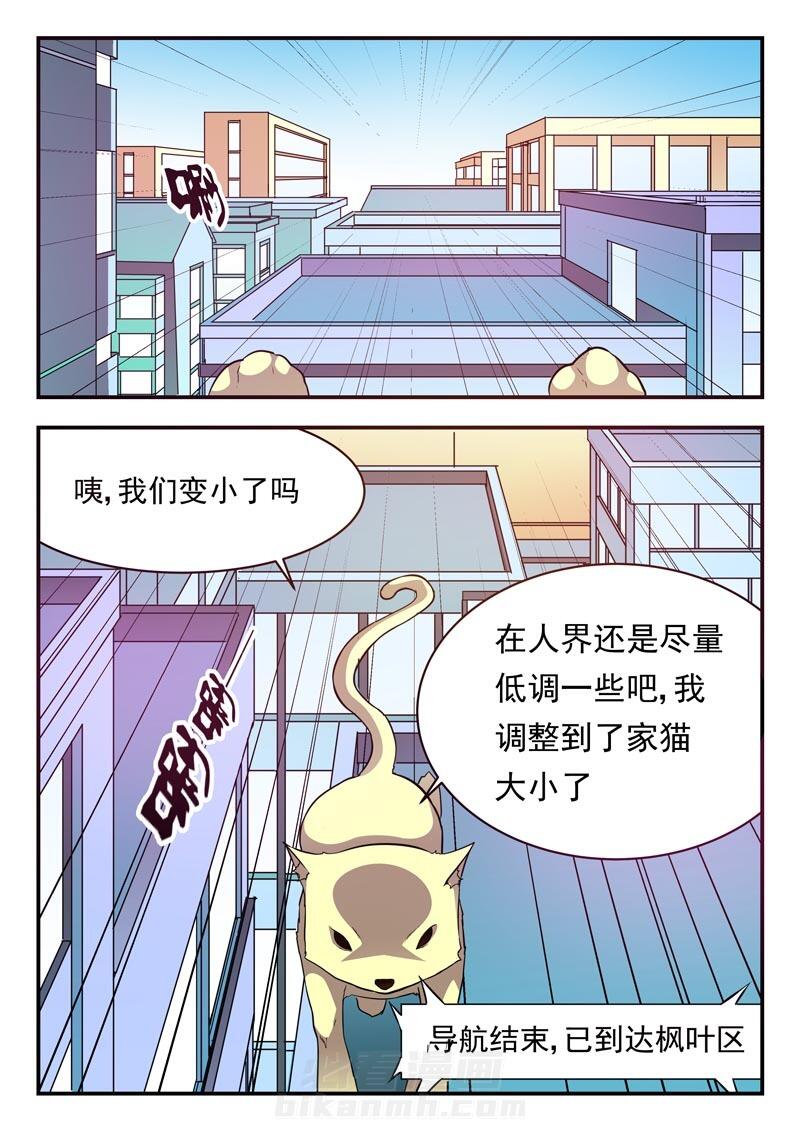 《阴阳特派》漫画最新章节第23话 23免费下拉式在线观看章节第【9】张图片