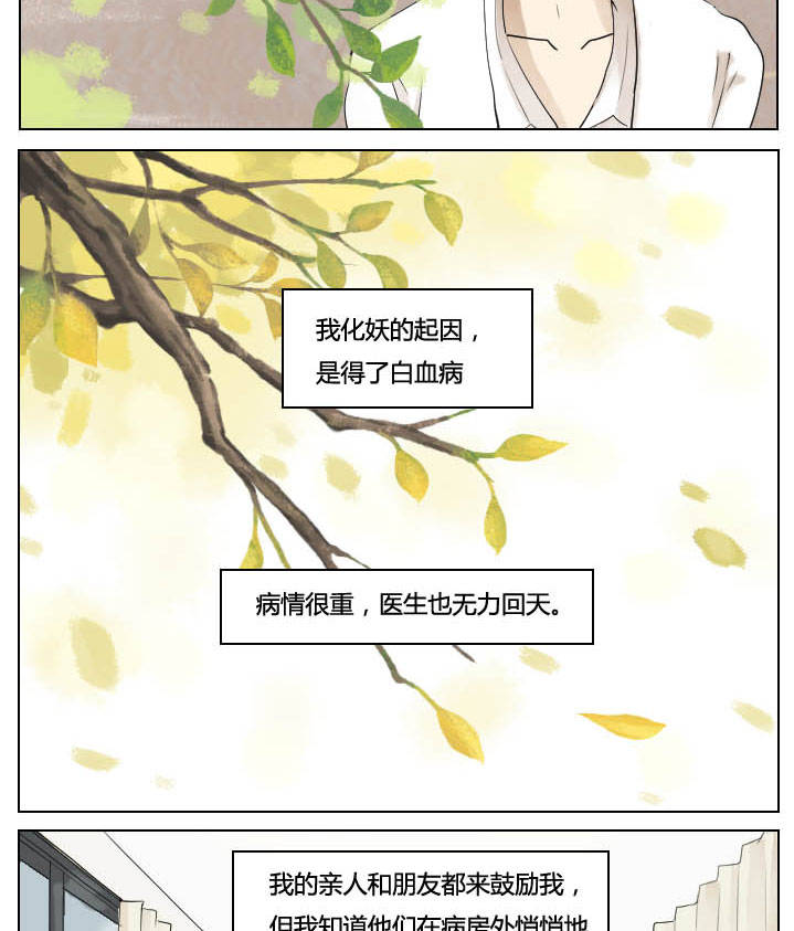 《妖精之愿》漫画最新章节第36话 36免费下拉式在线观看章节第【9】张图片