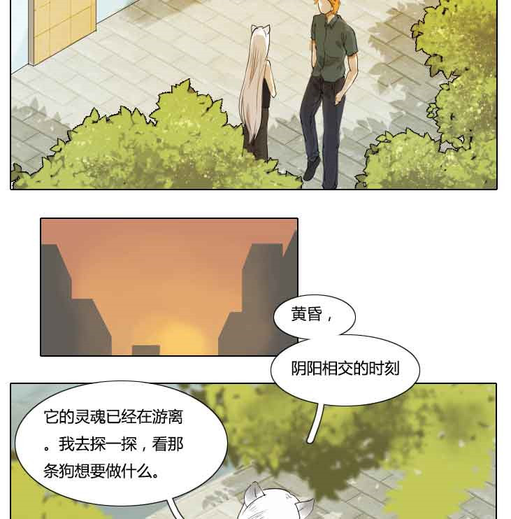 《妖精之愿》漫画最新章节第72话 72免费下拉式在线观看章节第【2】张图片