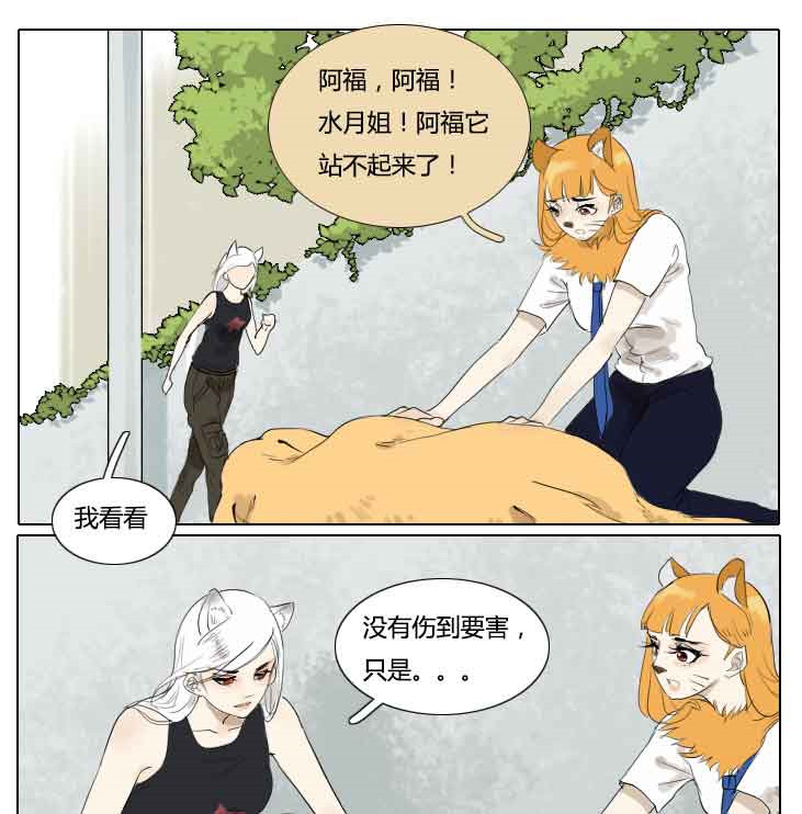 《妖精之愿》漫画最新章节第72话 72免费下拉式在线观看章节第【15】张图片