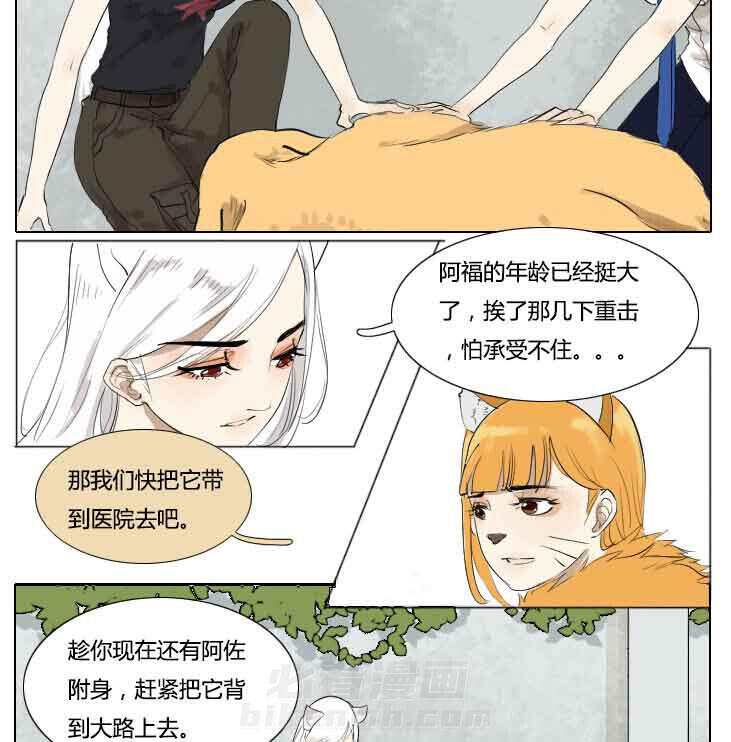 《妖精之愿》漫画最新章节第72话 72免费下拉式在线观看章节第【14】张图片