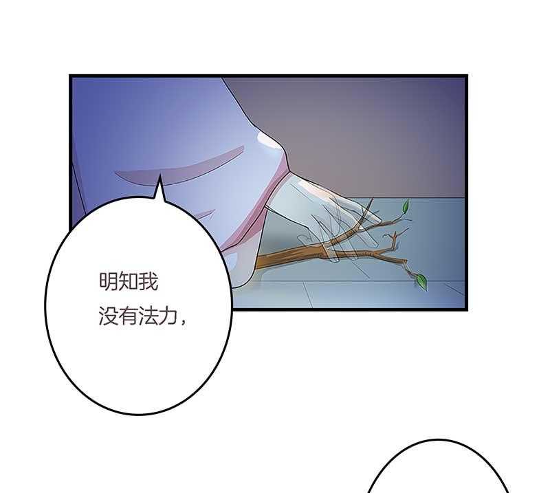 《朕的老婆们全挂了》漫画最新章节第11话 虚假姐妹情 免费下拉式在线观看章节第【3】张图片