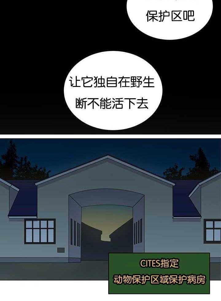 《旷野之息》漫画最新章节第21话 是天意吗免费下拉式在线观看章节第【6】张图片