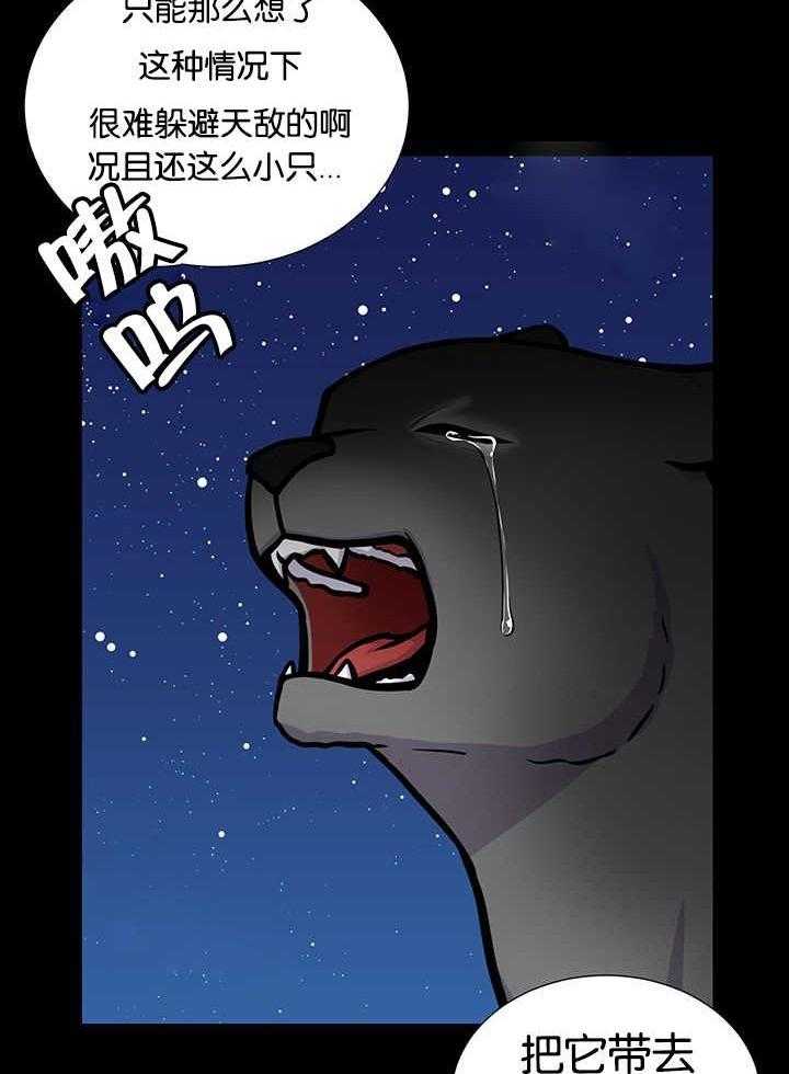 《旷野之息》漫画最新章节第21话 是天意吗免费下拉式在线观看章节第【7】张图片