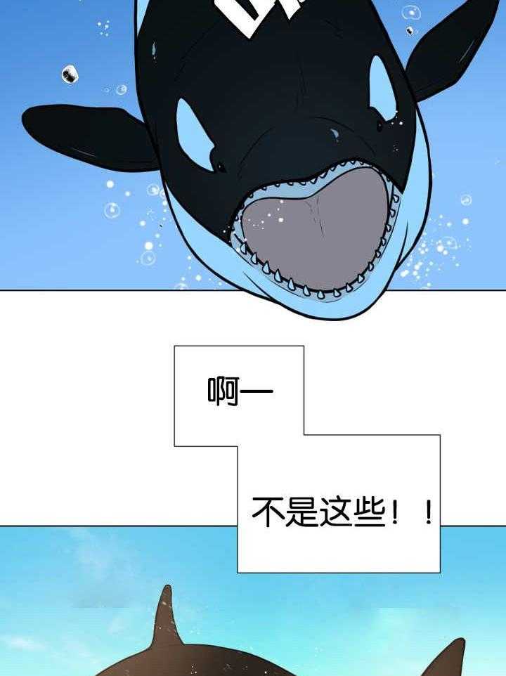 《旷野之息》漫画最新章节第24话 要不要再来一次免费下拉式在线观看章节第【5】张图片