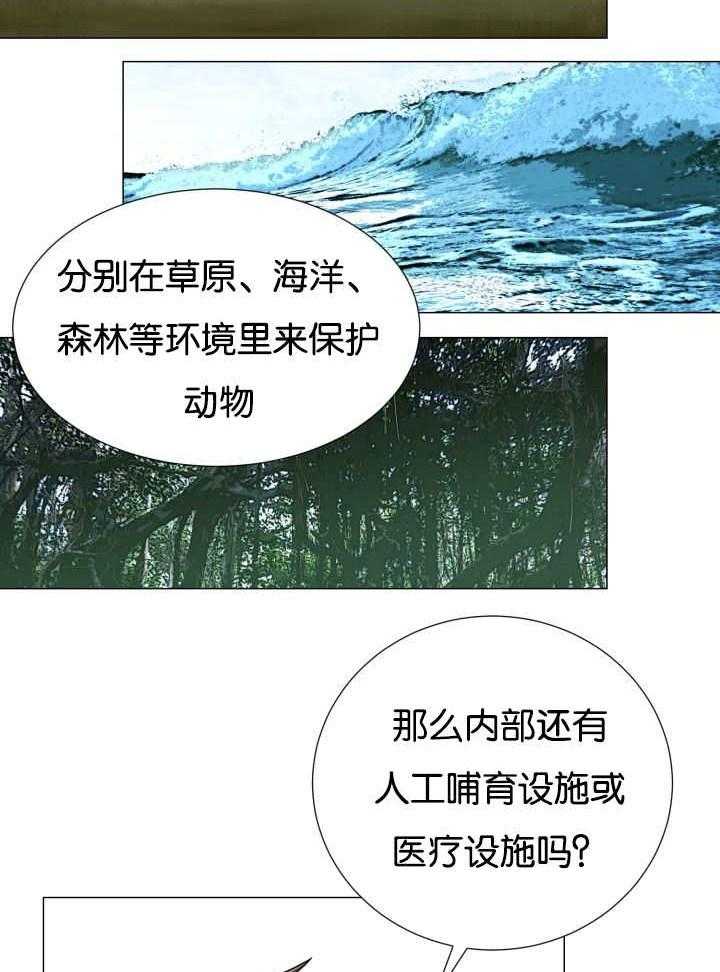 《旷野之息》漫画最新章节第35话 才不是嫉妒免费下拉式在线观看章节第【20】张图片