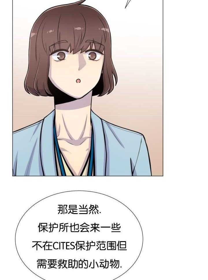 《旷野之息》漫画最新章节第35话 才不是嫉妒免费下拉式在线观看章节第【19】张图片