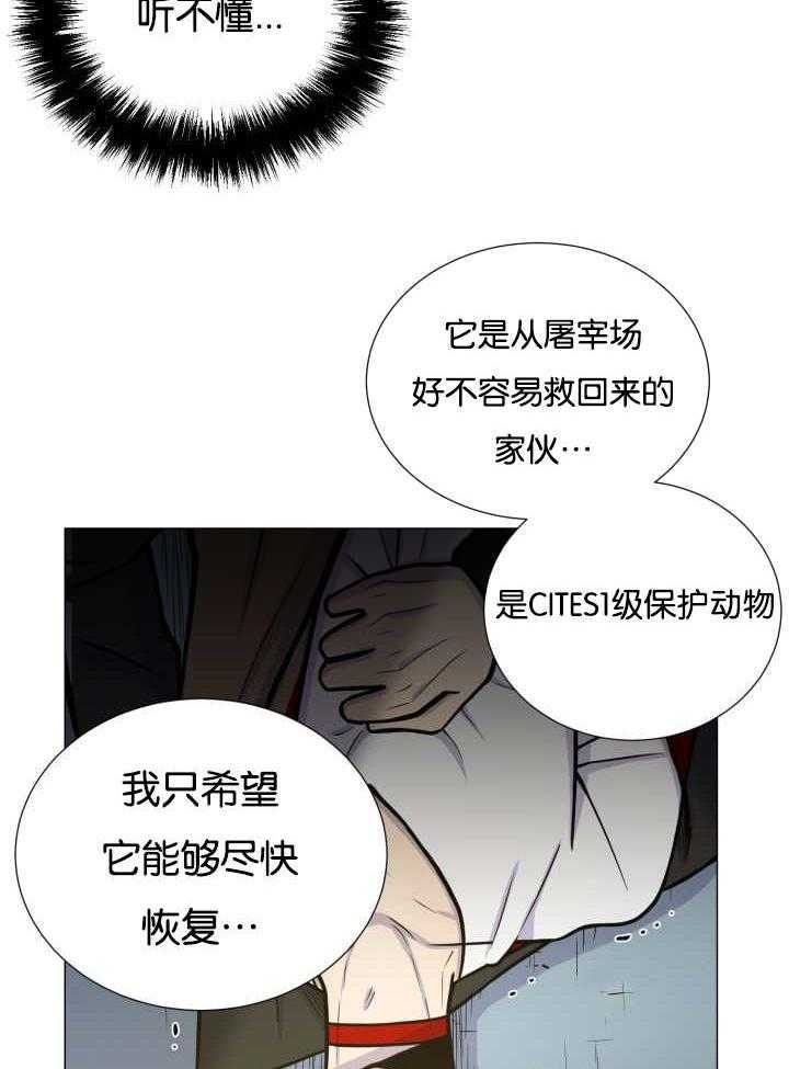 《旷野之息》漫画最新章节第36话 是爱情吗免费下拉式在线观看章节第【5】张图片