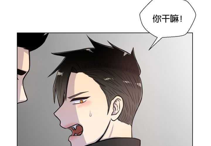 《旷野之息》漫画最新章节第42话 喜欢免费下拉式在线观看章节第【69】张图片