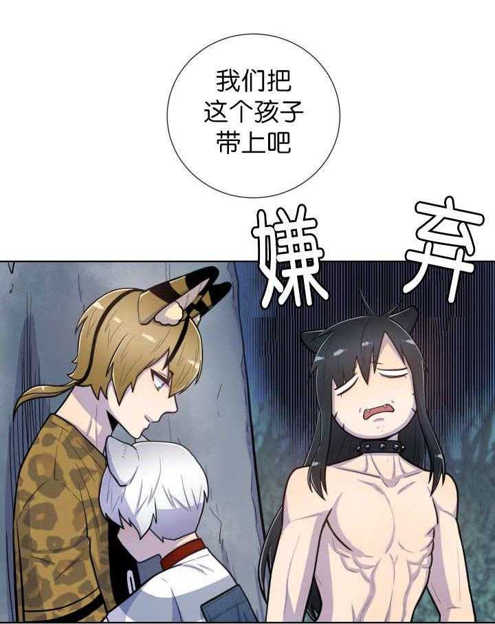 《旷野之息》漫画最新章节第51话 又来一个免费下拉式在线观看章节第【27】张图片