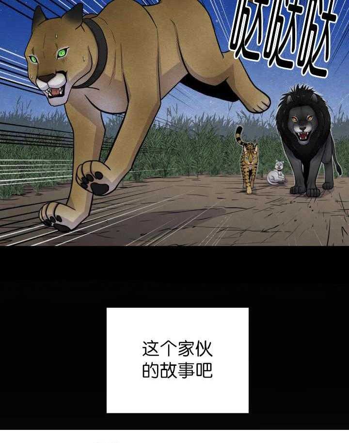 《旷野之息》漫画最新章节第53话 美洲狮免费下拉式在线观看章节第【16】张图片