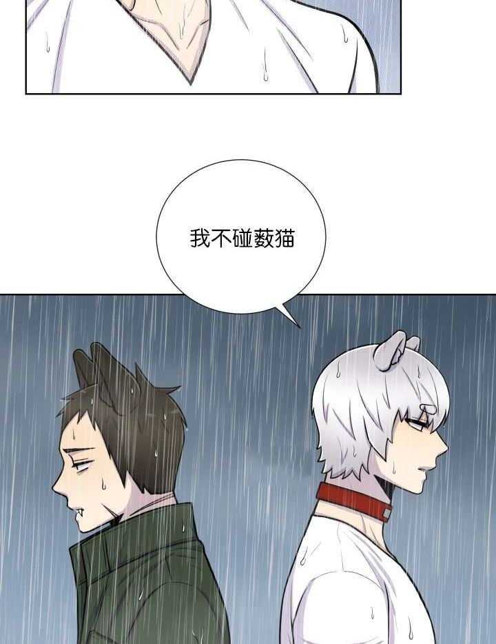 《旷野之息》漫画最新章节第61话 等你好久了免费下拉式在线观看章节第【24】张图片