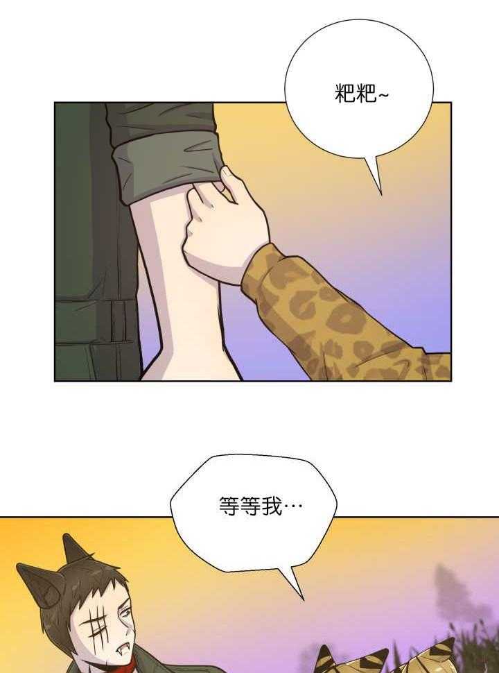 《旷野之息》漫画最新章节第64话 超无聊免费下拉式在线观看章节第【20】张图片