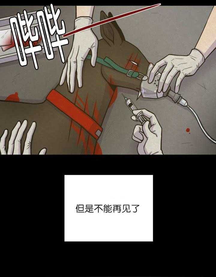 《旷野之息》漫画最新章节第68话 一直很想你免费下拉式在线观看章节第【17】张图片