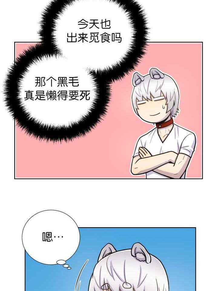 《旷野之息》漫画最新章节第70话 劈腿了吗免费下拉式在线观看章节第【19】张图片