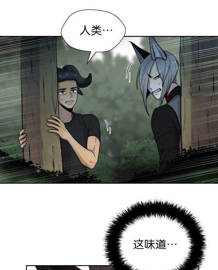 《旷野之息》漫画最新章节第81话 找寻免费下拉式在线观看章节第【2】张图片