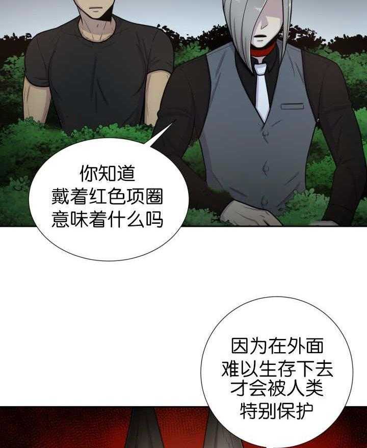 《旷野之息》漫画最新章节第81话 找寻免费下拉式在线观看章节第【11】张图片