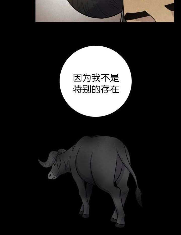 《旷野之息》漫画最新章节第84话 不是特别的存在免费下拉式在线观看章节第【1】张图片