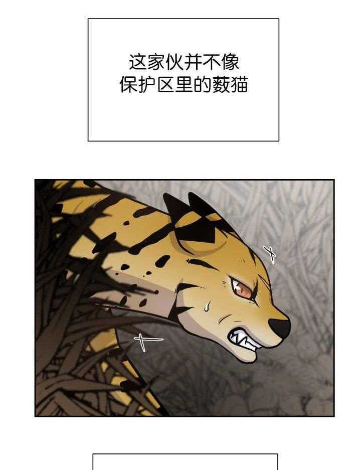 《旷野之息》漫画最新章节第85话 多了一个对手免费下拉式在线观看章节第【11】张图片