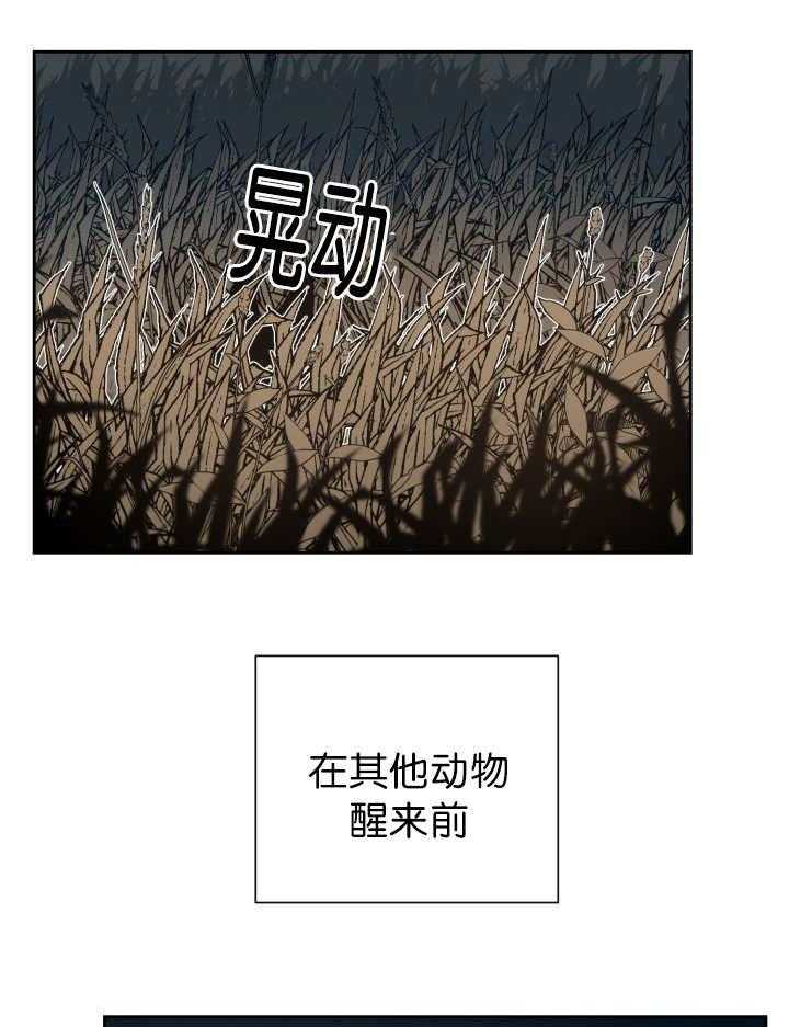 《旷野之息》漫画最新章节第85话 多了一个对手免费下拉式在线观看章节第【16】张图片