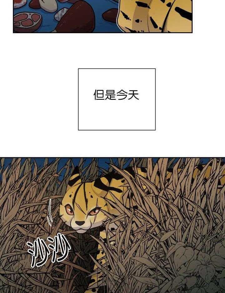 《旷野之息》漫画最新章节第85话 多了一个对手免费下拉式在线观看章节第【13】张图片