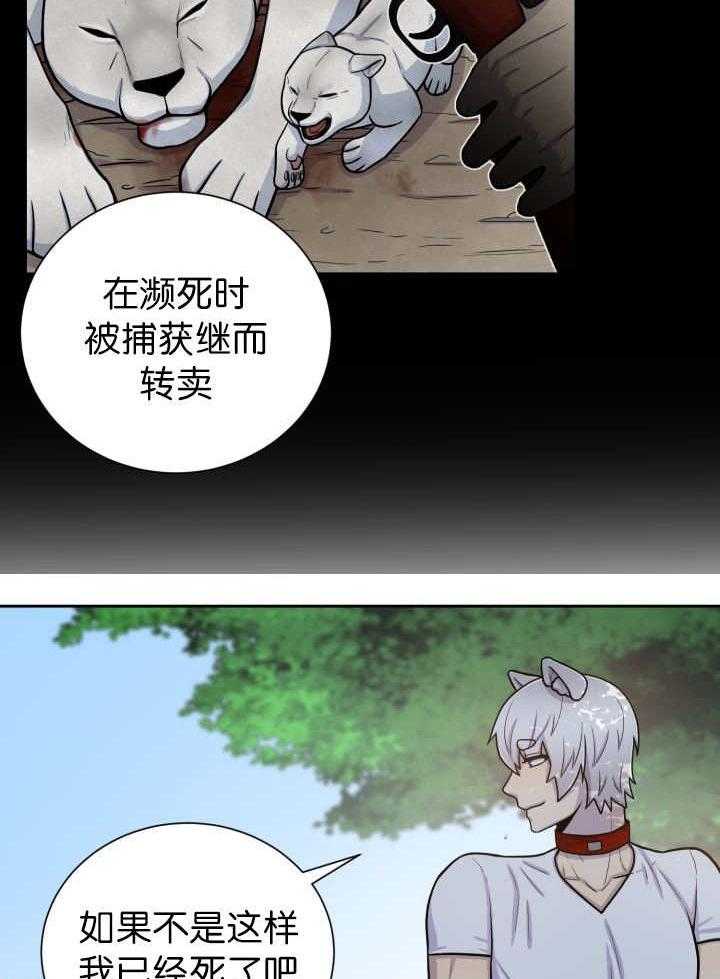 《旷野之息》漫画最新章节第87话 向往免费下拉式在线观看章节第【31】张图片